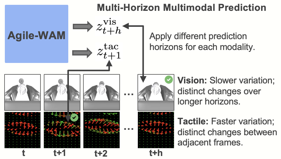 Multi-horizon multimodal prediction for visual and tactile observations